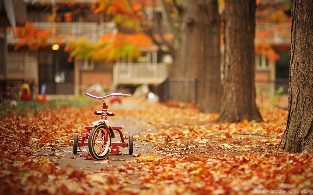 Autumn Season Wallpapers 241074