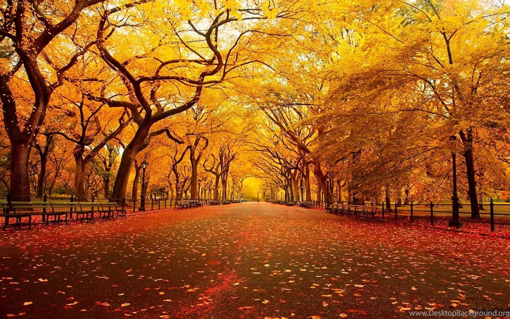 Desktop Backgrounds Fall