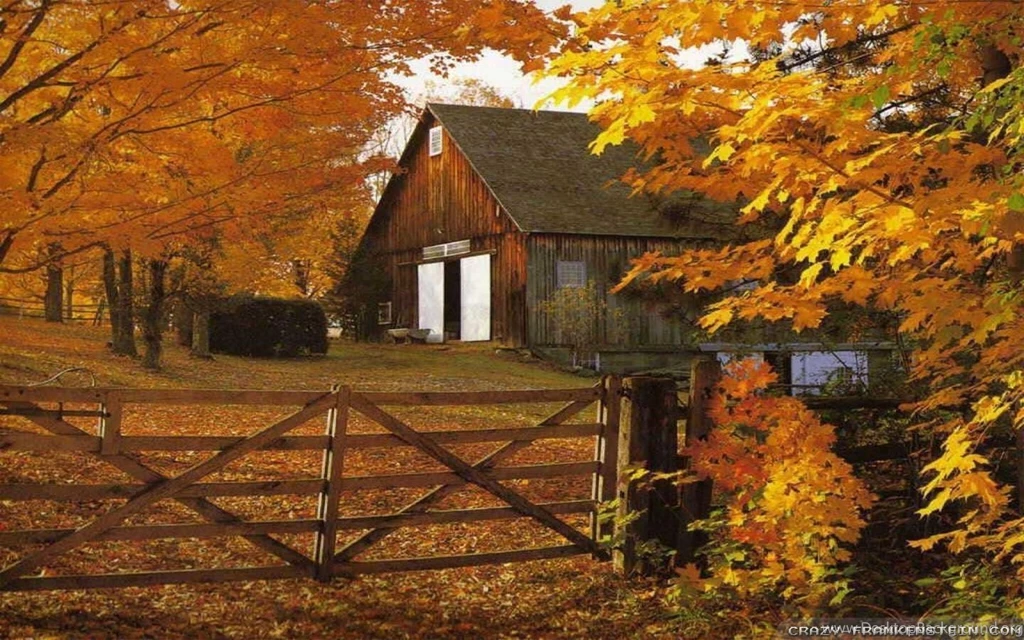 Fall Leaves Wallpapers 2   Crazy Frankenstein