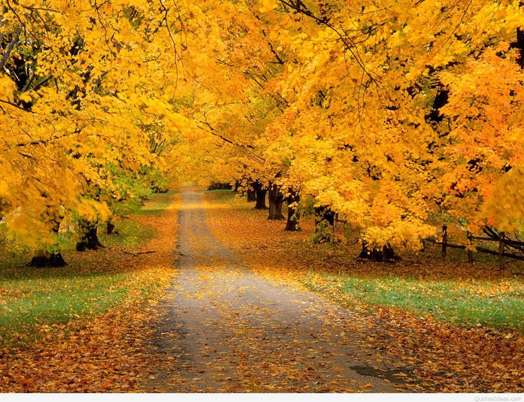 Fall Season Wallpapers Desktop
