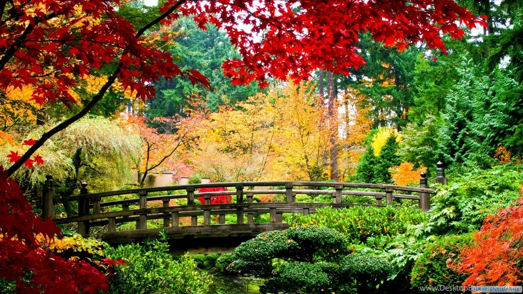 Fall Season Wallpapers Picture