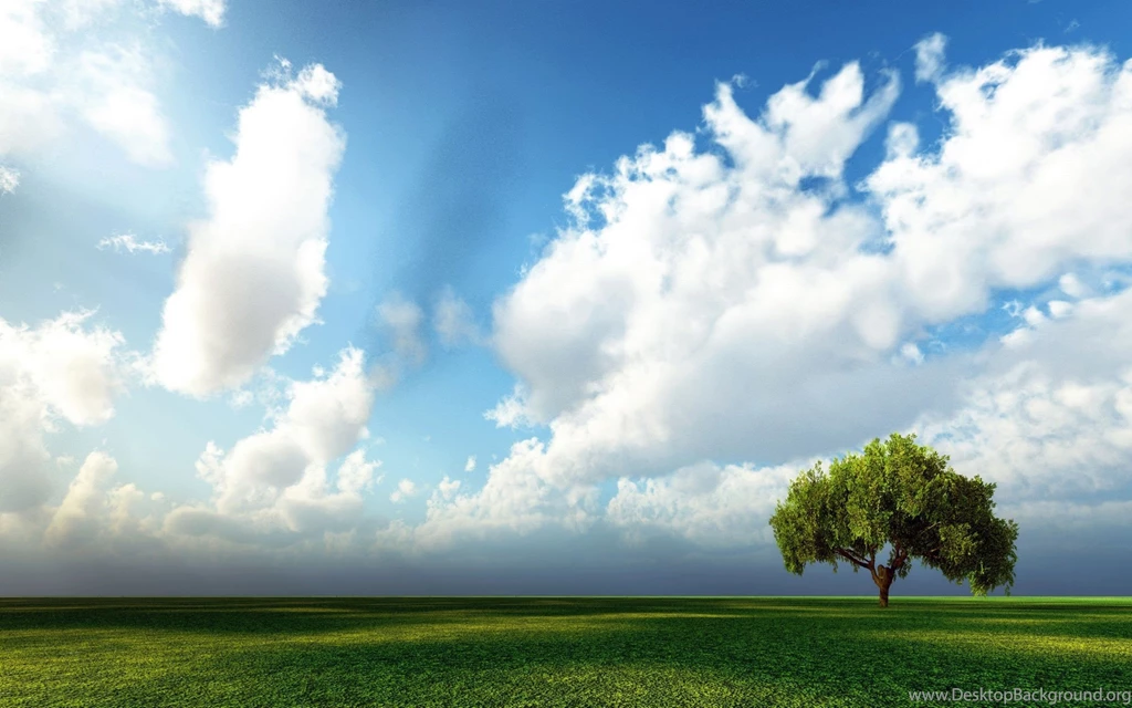 Sky With Tree Hd Image