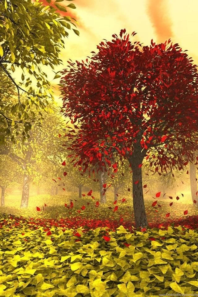 HD, 3D, Creative, Desktop, Wallpaper,image