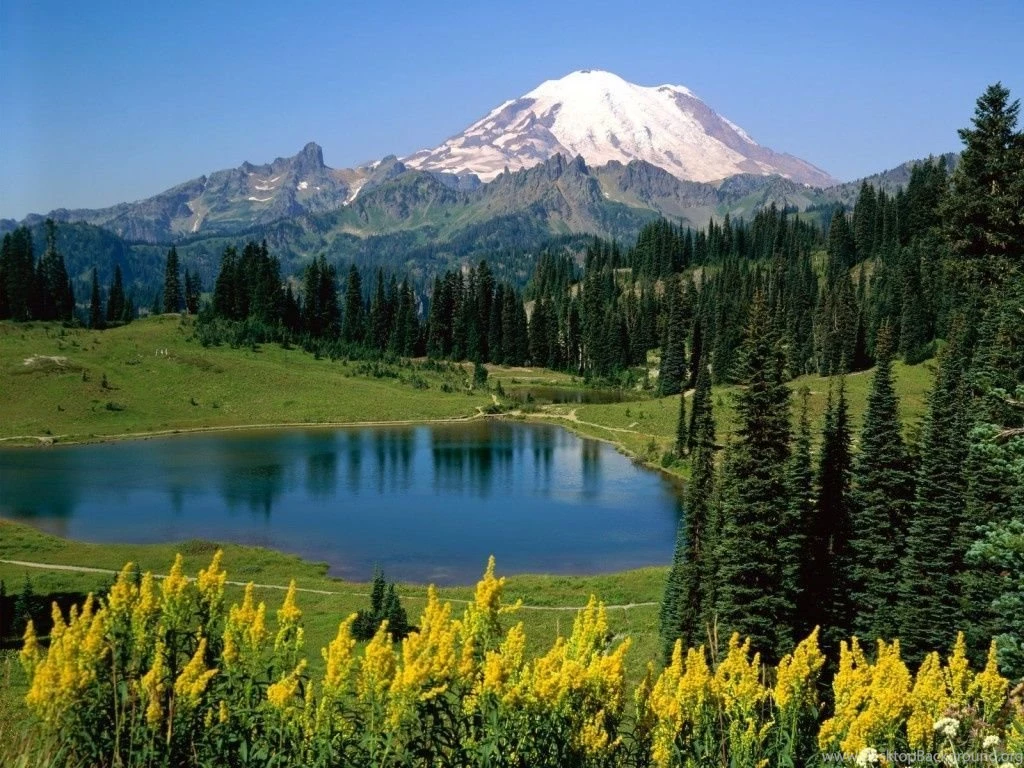 1024x768 Fresh Nature Desktop PC And Mac Wallpapers