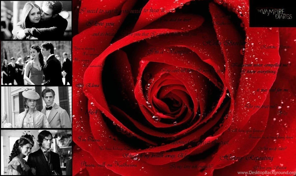 The Vampire Diaries Backgrounds By Nifflerat221b On DeviantArt