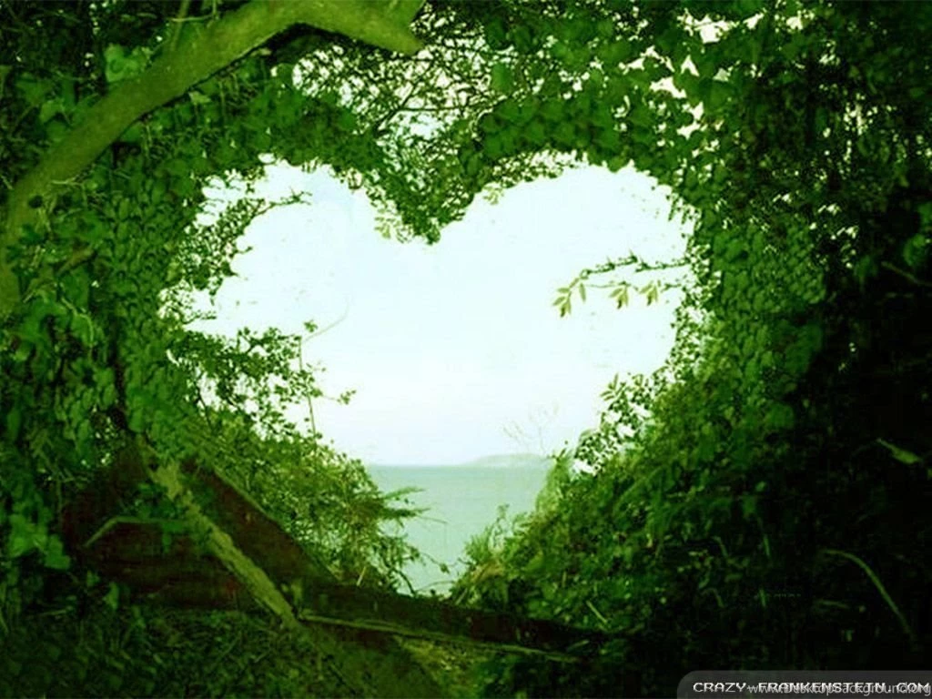 Download Beautiful Love Nature Wallpapers