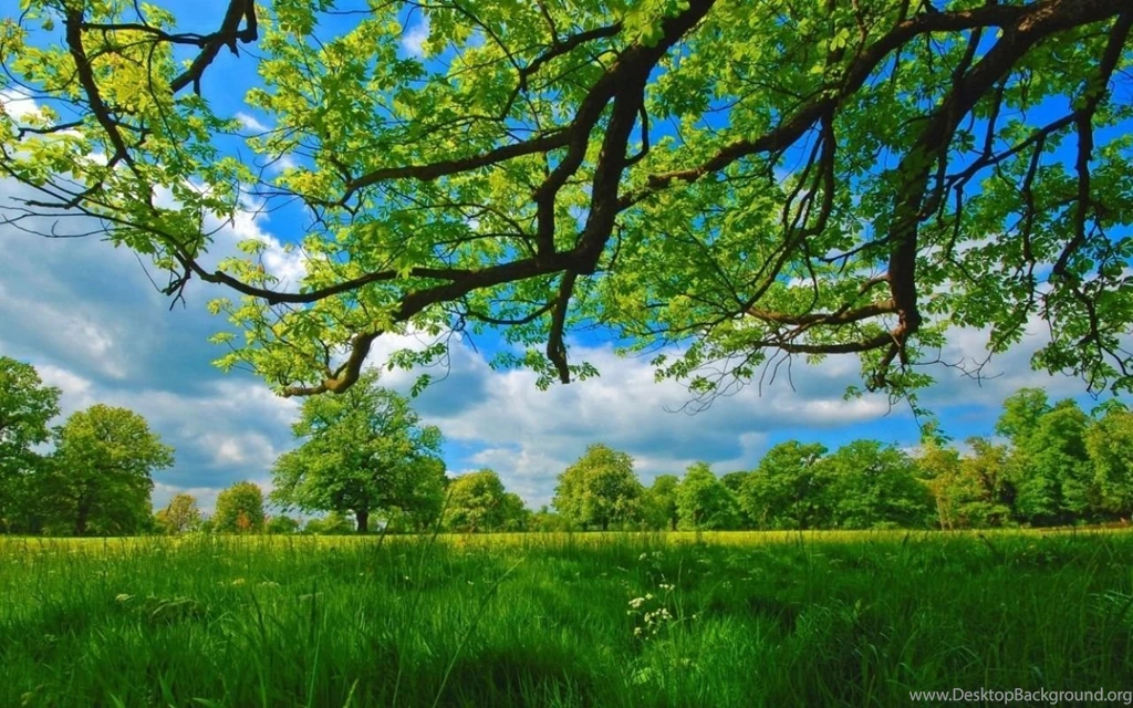 Desktop Nexus Nature Wallpapers HD 8214 HD Wallpapers Site