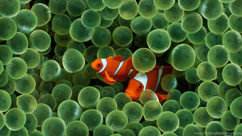 MAC OS X System HD Wallpapers (2)