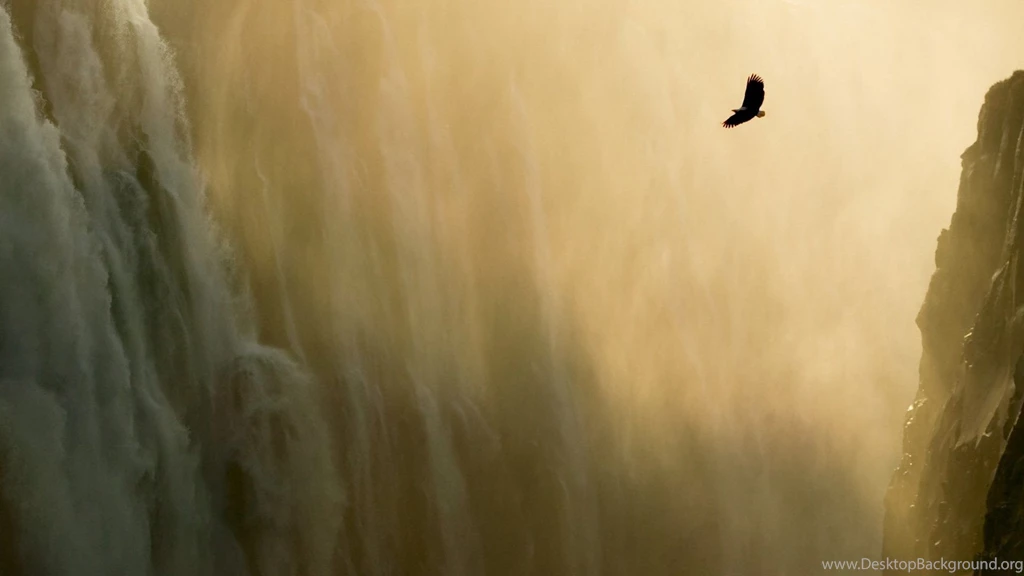 HD Quality Apple MAC OS Wallpapers 14   SiWallpapers 11978