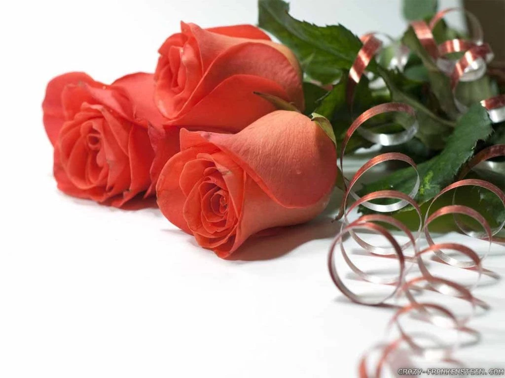 Wedding Flowers Wallpapers Crazy Frankenstein