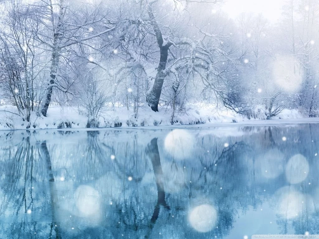 Winter Snowfall HD Desktop Wallpapers : High Definition : Mobile ...