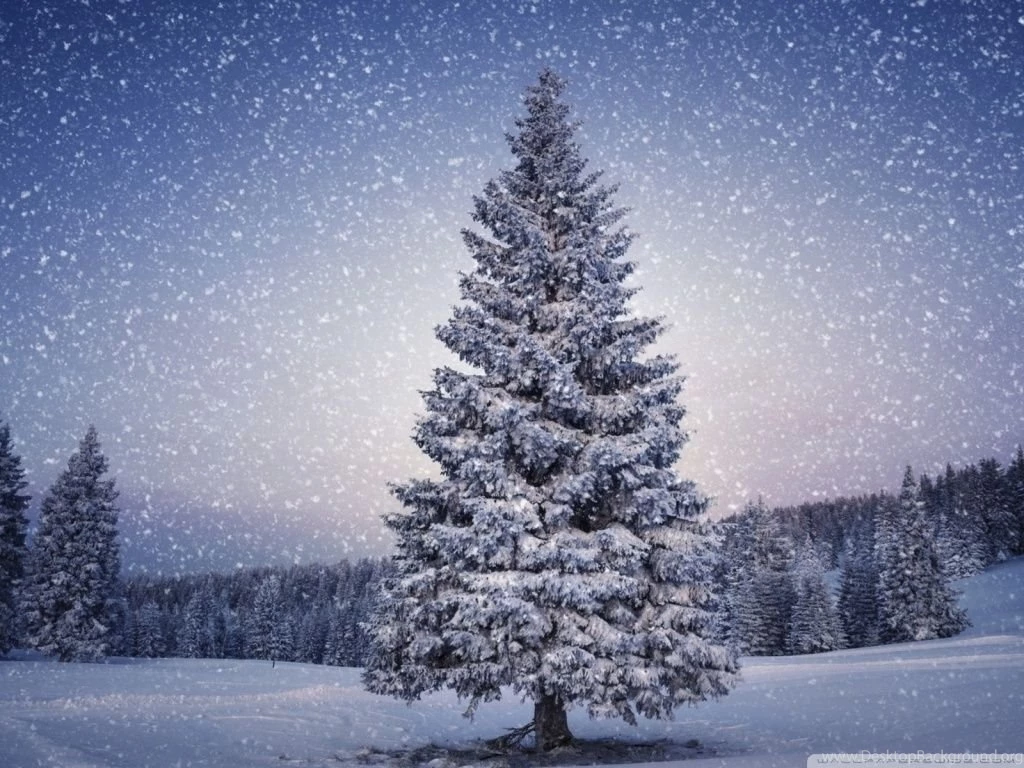 Fairy Tale Winter HD Desktop Wallpapers : High Definition ...