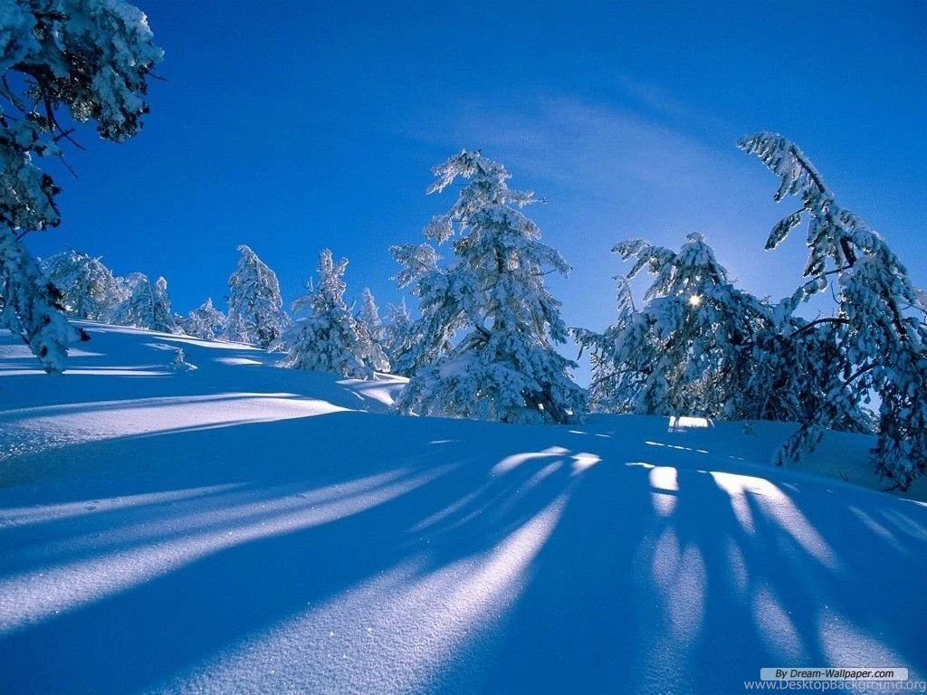 Free Wallpapers Free Nature Wallpapers Winter Wonderland 1 ...