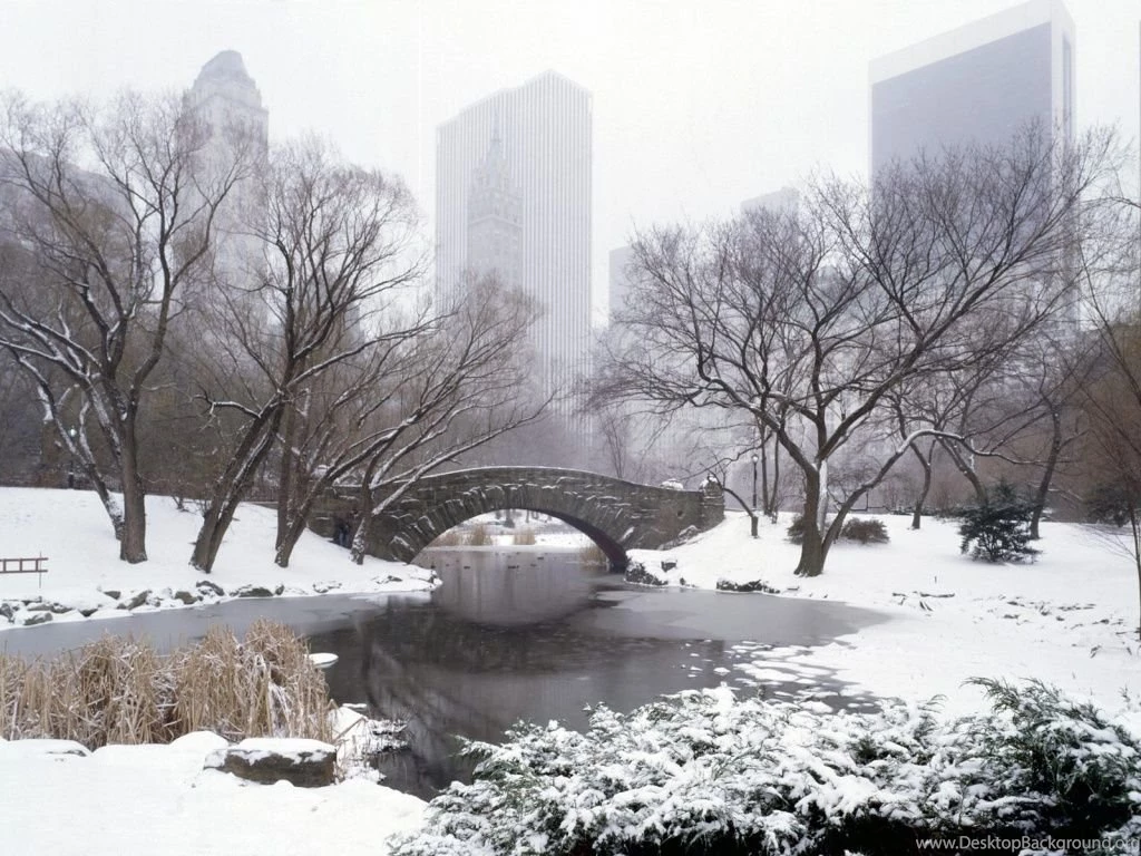 1024x768 Central Park In Winter Desktop PC And Mac Wallpapers