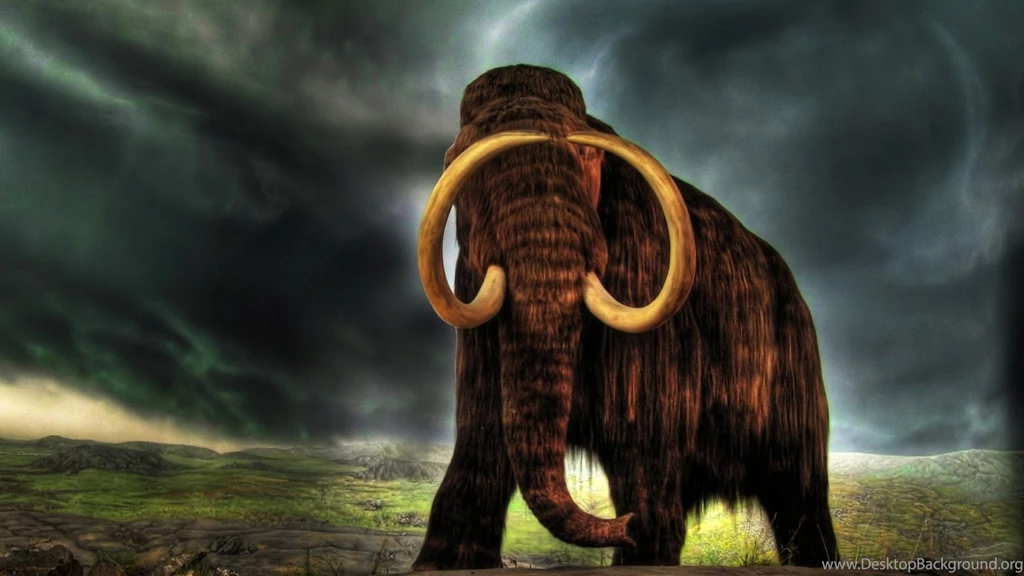 HD WAllppaers: Animal HD Wallpapers 1080p