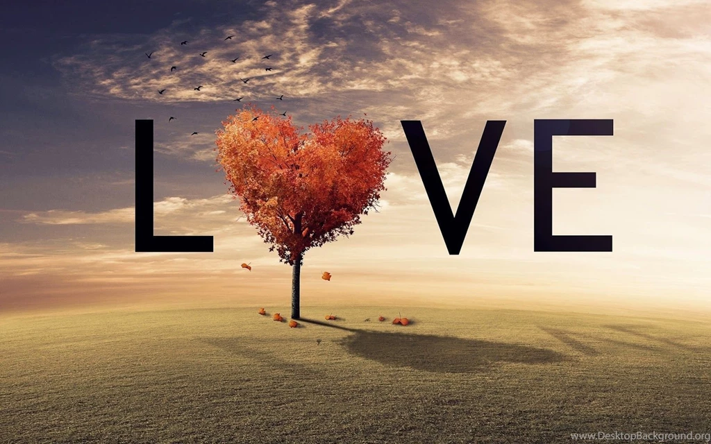Love HD Wallpapers