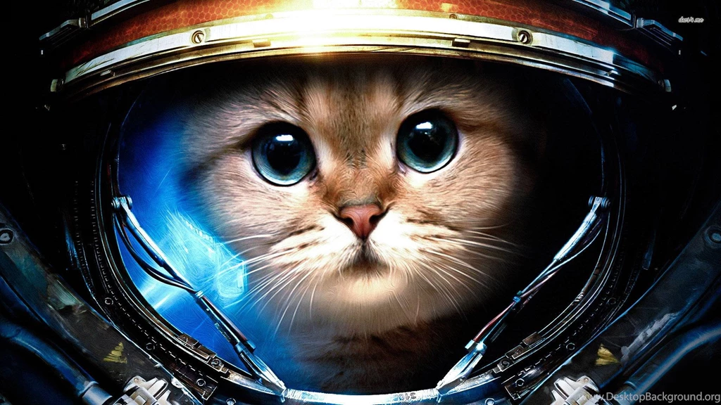 Wallpapers Astronaut Cat With Laser (page 2) Pics About Space
