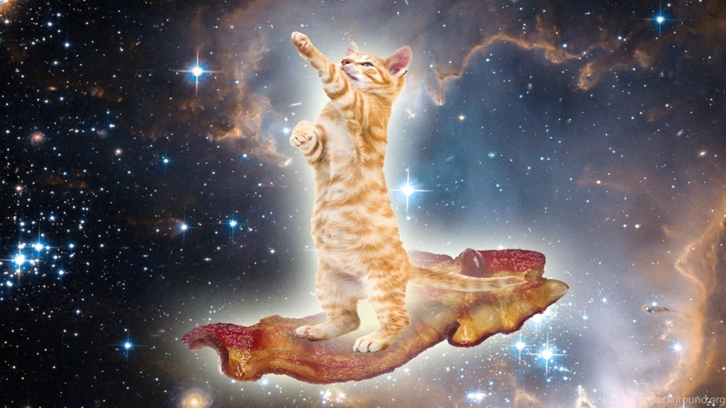 Wallpapers Astronaut Cat With Laser Pics About Space