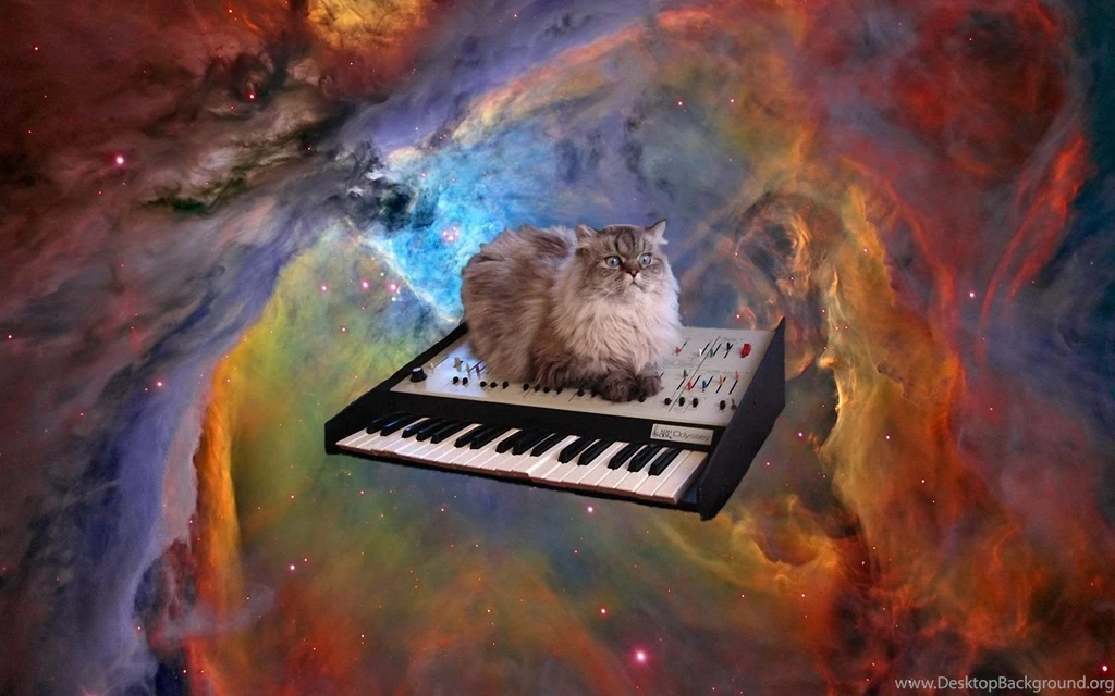 Cat In Space Computer Wallpapers, Desktop Backgrounds