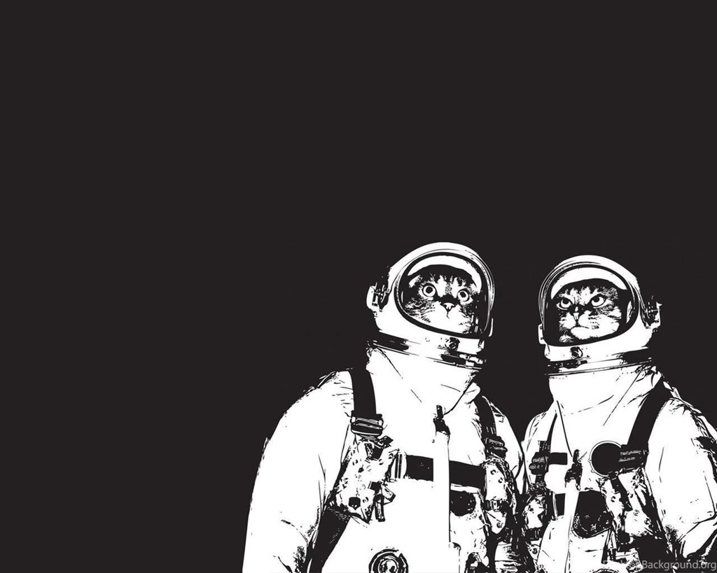 Space Cats Cats Wallpapers (29815101) Fanpop