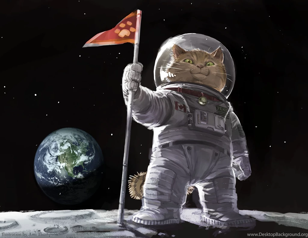 Ami Thompson Original Cat Space Planets Humor Wallpapers ...