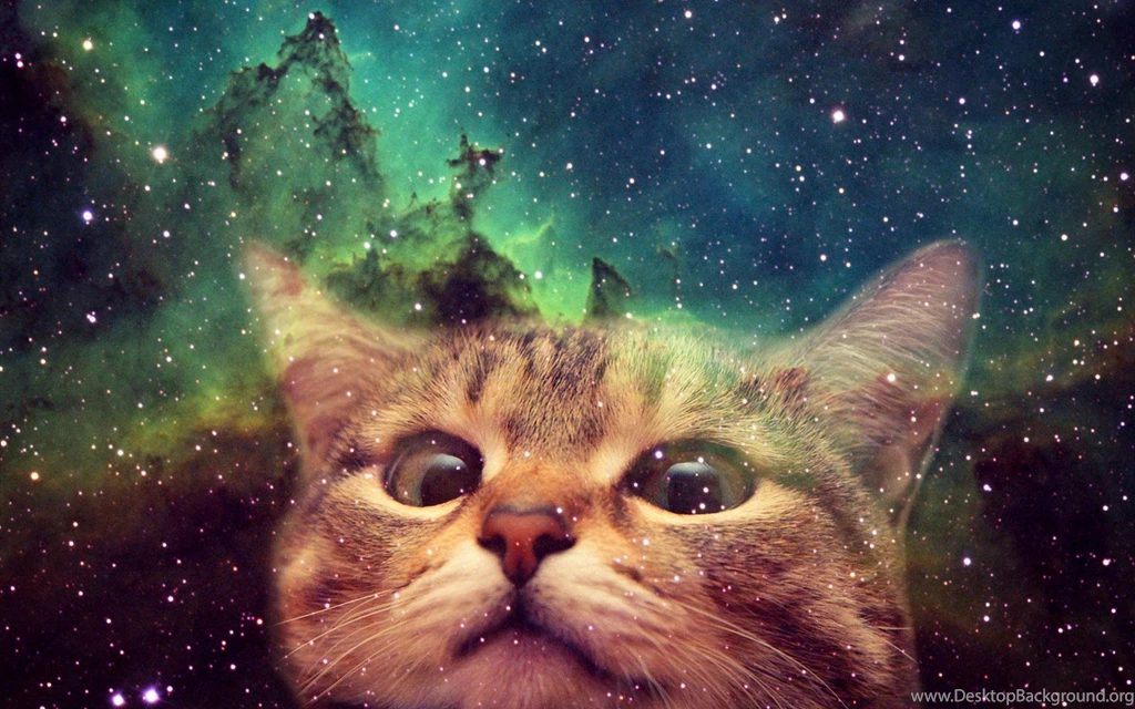 Hook Up Your Desktop With One Of These Awesome Cats In Space ...