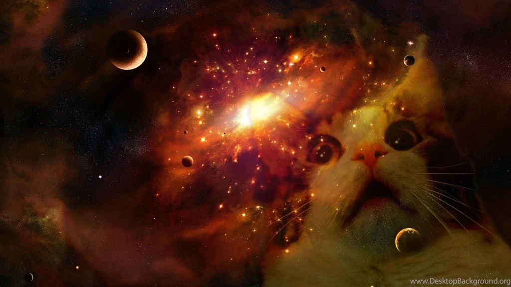 George The Space Cat Pimp : Spacecats