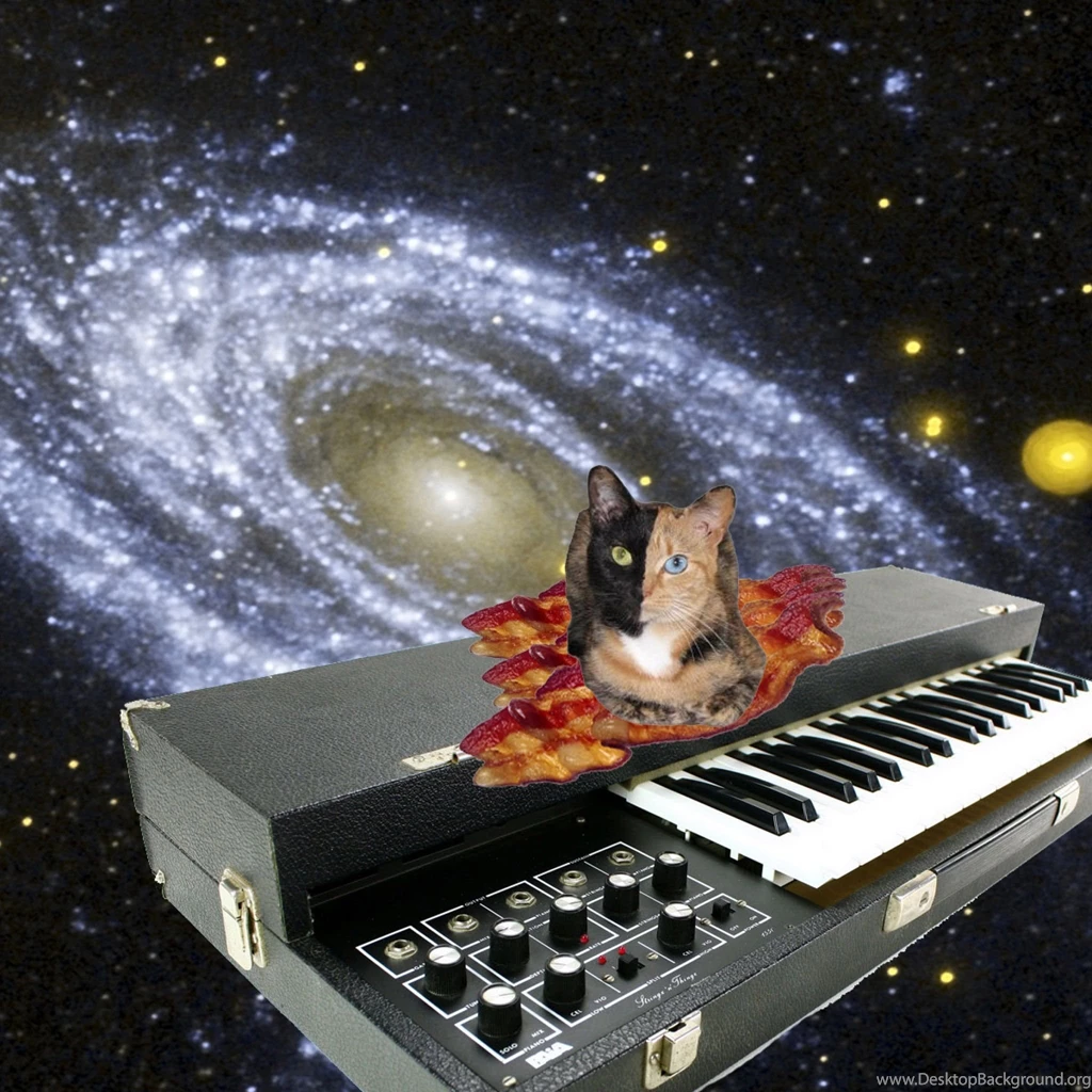 Cat In Space iPad 3,4 & Air Wallpapers