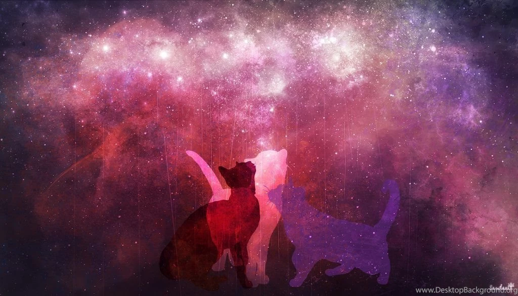 Cat Space Wallpapers By Sand Rae On DeviantArt