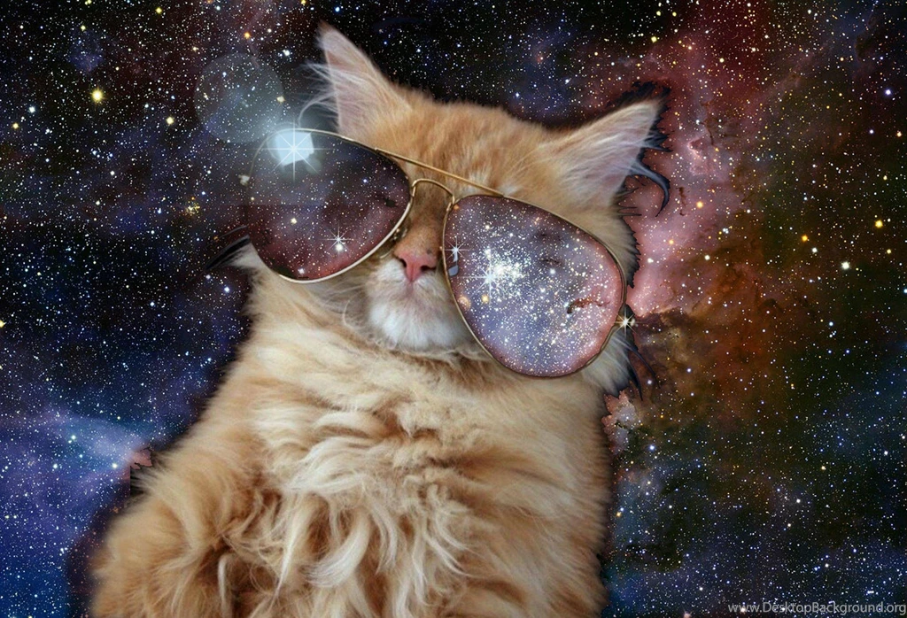 Cats In Space: You Come Down From There Right Meow!