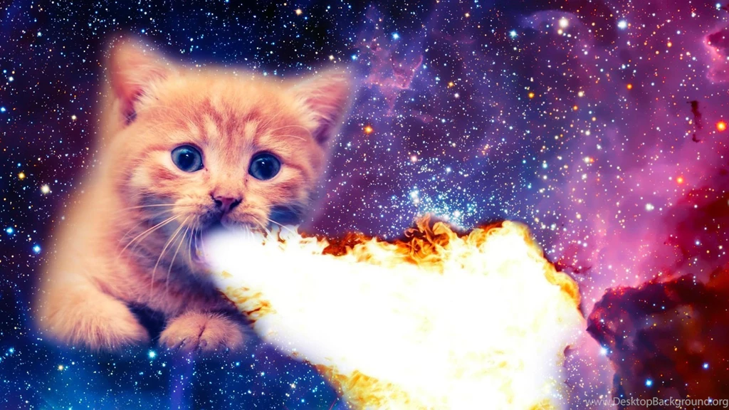 My Fire Breathing Space Cat Imgur