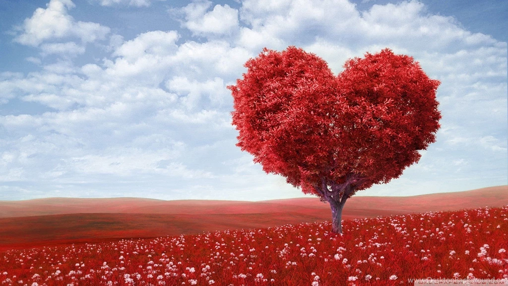 Wallpapers Love Tree 1920 X 1080 Full Hd 1920 X 1080 Full Hd ...