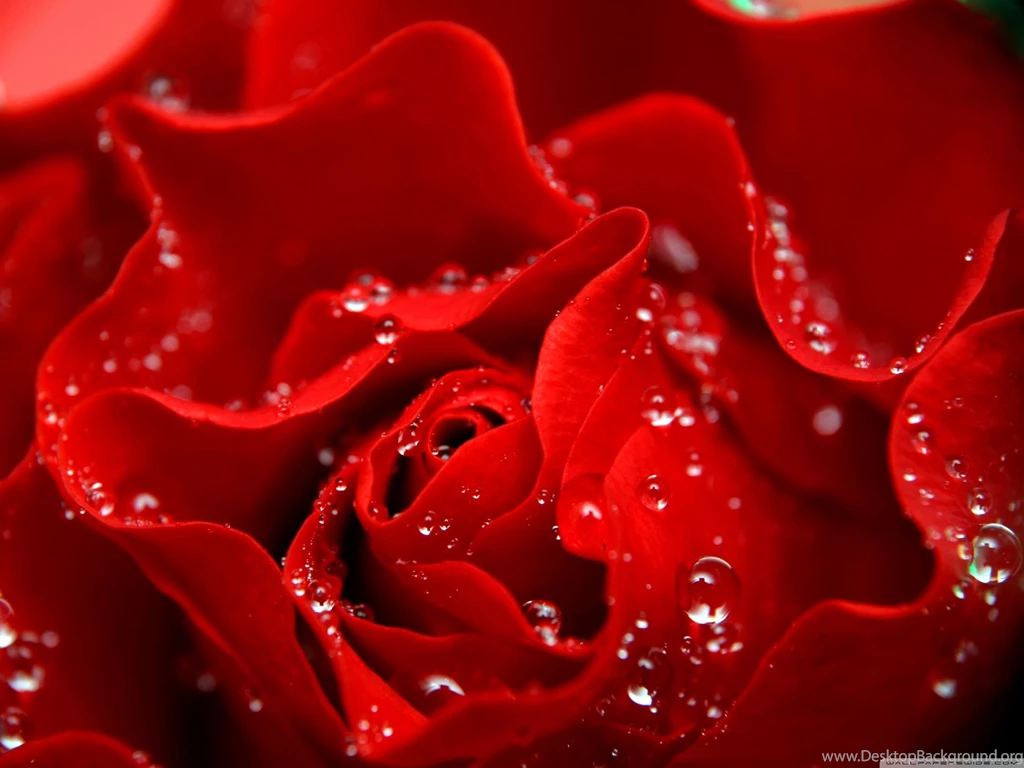 Love Archives   Page 14 Of 16   Free Wallpapers Full Hd 1080p, High ...