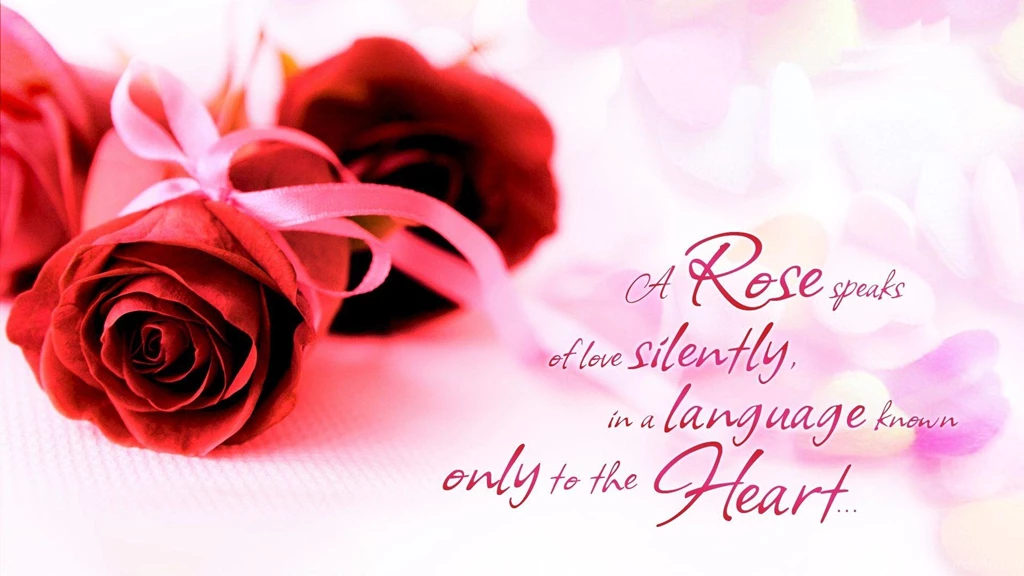 Beautiful Rose And Love Quotes Wallpapers Full