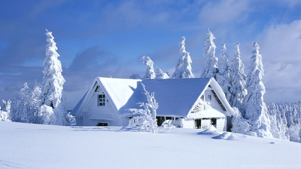 Free Winter Backgrounds Wallpapers