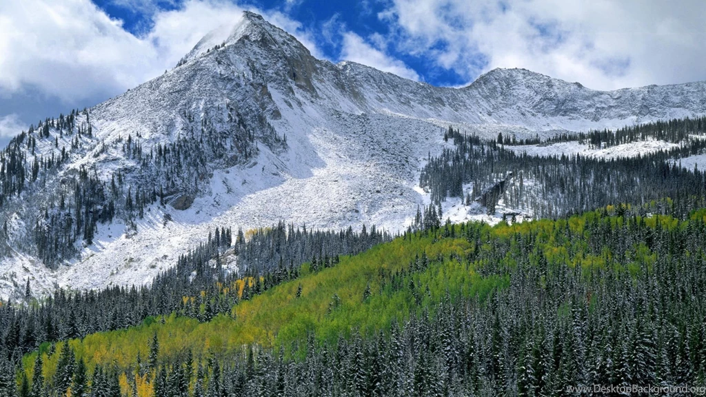 Winter, Wallpaper, Tree, Snow, Forest, Mountains, Images, Goodwp ...