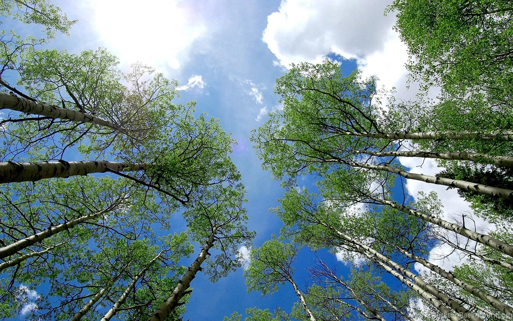 Colorado Desktop Wallpaper Images