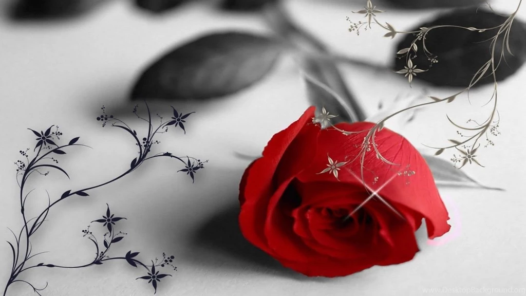 Desktop Wallpapers Rose Flowers