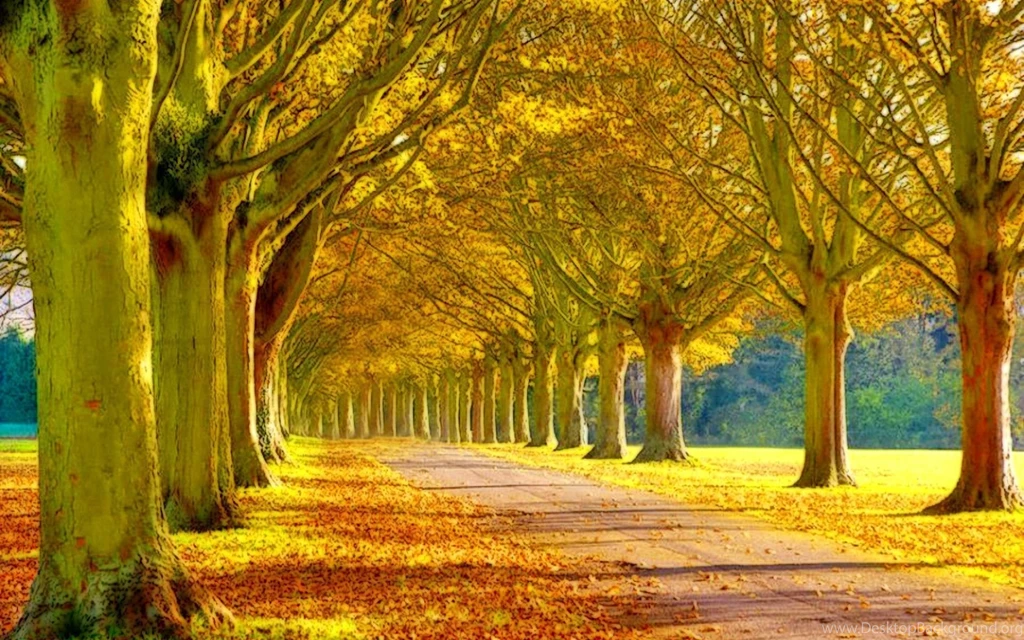Beautiful Scenery Backgrounds