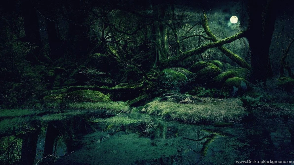 Forest Backgrounds By Vashar23 On DeviantArt