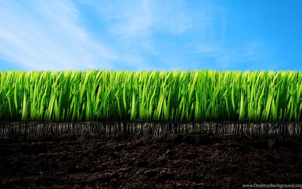 Let Your Desktop Play In The Grass With These Wallpapers