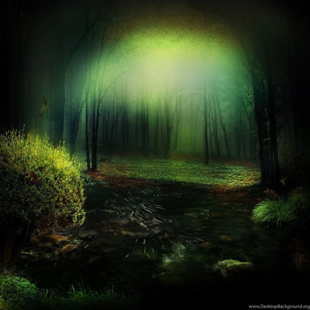 Forest Backgrounds 1 By Nova63 On DeviantArt