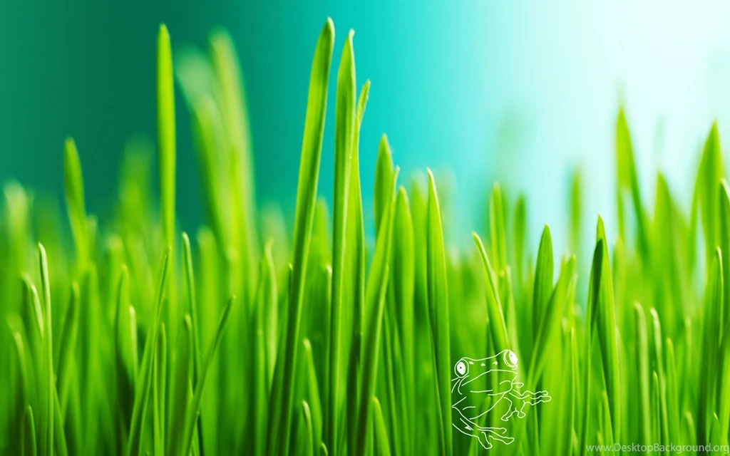 Grass Computer Wallpapers, Desktop Backgrounds