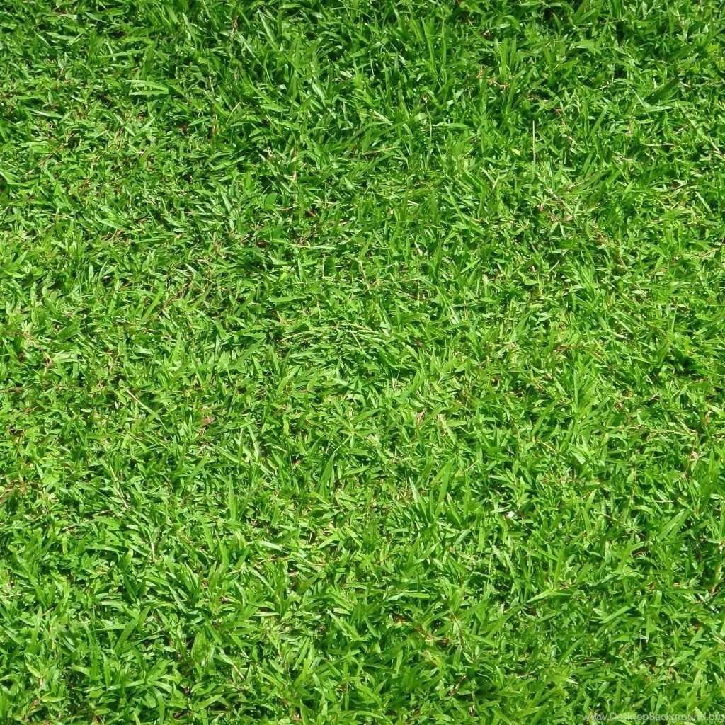 Dark Grass Wallpapers 2015 Grasscloth Wallpapers