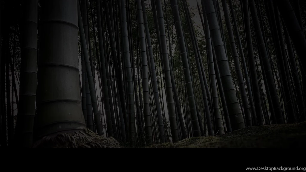 Backgrounds Hd Photoshop   1895282