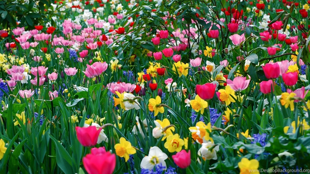 33 Beautiful Full HD Wallpapers