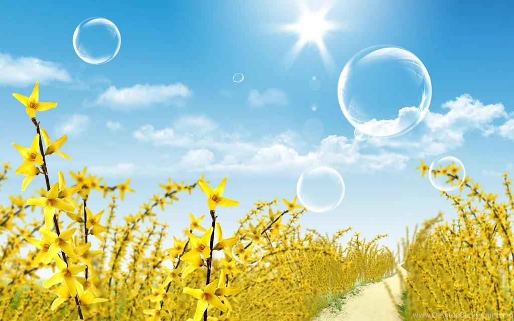 Photoshop Wallpapers