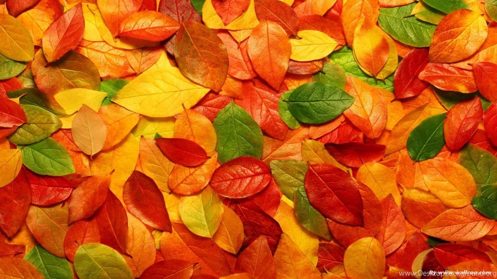 Free Wallpaper Backgrounds For Laptops