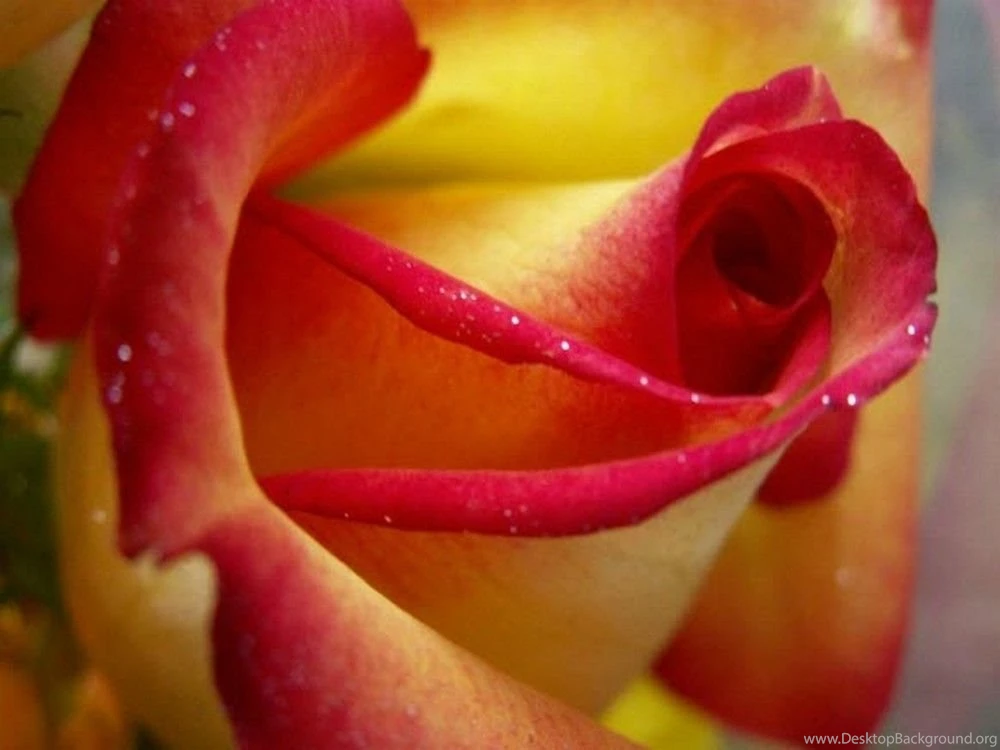 Nature hd wallpapers for laptop free download.jpg