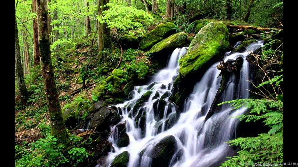 Amazing Nature Pictures [HD 1080p]   YouTube